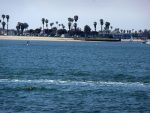 Paradise point
